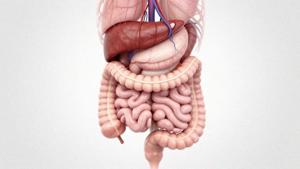 Czy zaburzenia hormonalne i neurologiczne powodują zaparcia?