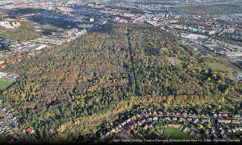 Cmentarz Centralny w Szczecinie