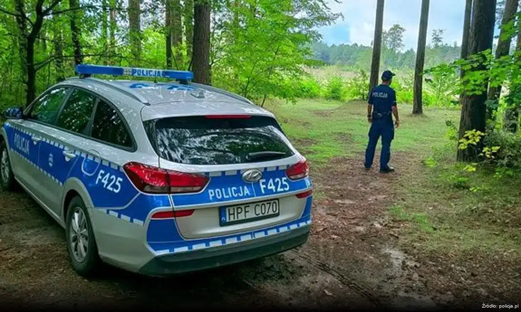 Majówka pod kontrolą: Zasady bezpieczeństwa na długi weekend