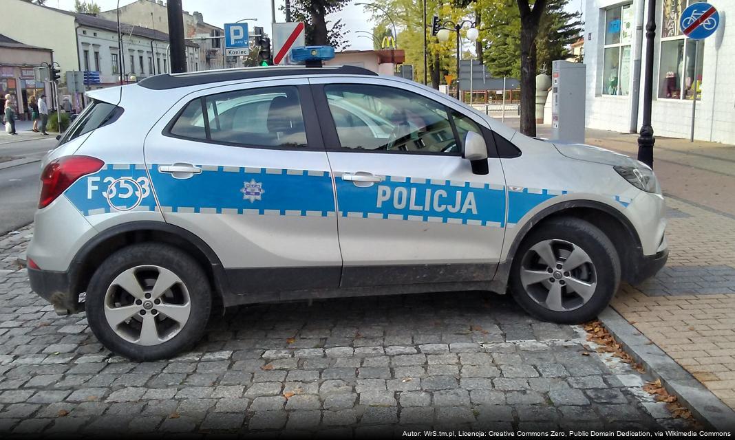 Zatrzymanie mężczyzny z zakazem prowadzenia pojazdów w Szczecinie