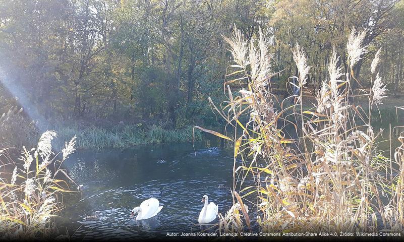 Ogród Botaniczny w Szczecinie