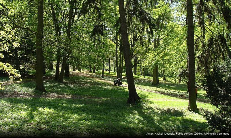 Ogród Dendrologiczny im. Stefana Kownasa