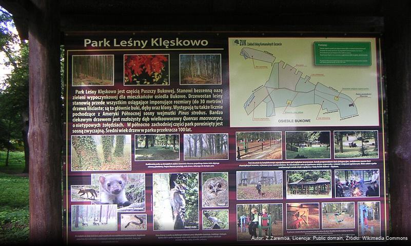 Park Leśny Klęskowo