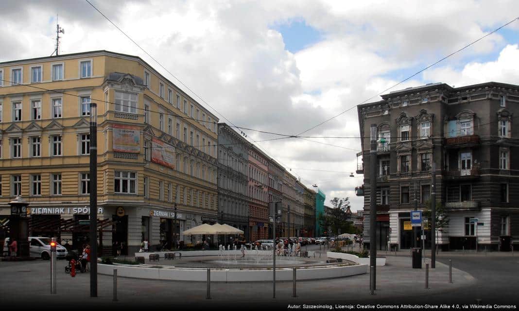 Apel do mieszkańców Szczecina w sprawie zbierania liści